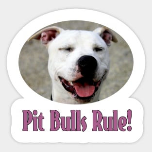 Pit Bulls Rule! Sticker